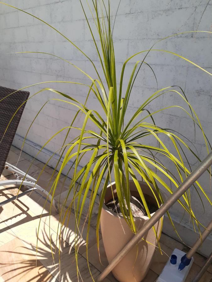 Itauna Saquarema Beach House Exterior foto